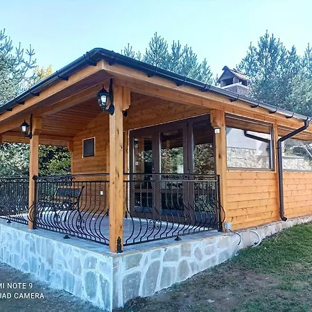 хоризонт Tsigov Chark