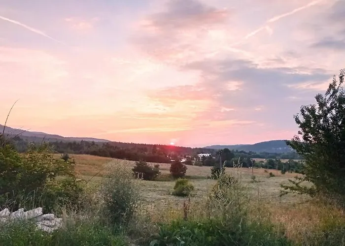 хоризонт * Tsigov Chark